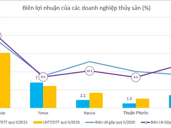 Cước tàu biển tăng cao đánh tụt lợi nhuận, nữ hoàng cá tra Trương Thị Lệ Khanh và vua tôm Lê Văn Quang khóc ròng