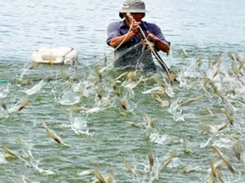 Tăng cường công tác phòng, chống dịch bệnh thủy sản