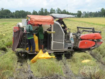 Bạc Liêu: Chủ động tháo gỡ khó khăn trong vận chuyển vật tư, giống nông nghiệp