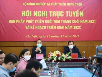 Nhiều cơ hội phục hồi cho sản xuất tôm nuôi