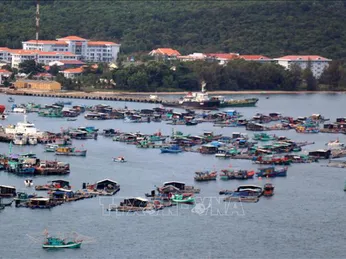 Kiên Giang: Tổng sản lượng khai thác và nuôi trồng thủy sản giảm hơn 11%