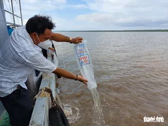 Thả 4,3 triệu con giống cua, tôm ra biển