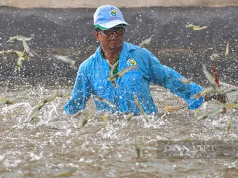 Mỹ, Trung Quốc ráo riết gom hàng, giá một sản phẩm thế mạnh của Việt Nam tăng vọt