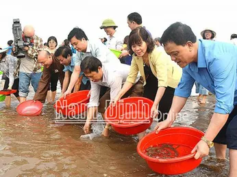 Gia tăng các hoạt động bảo vệ nguồn lợi thủy sản