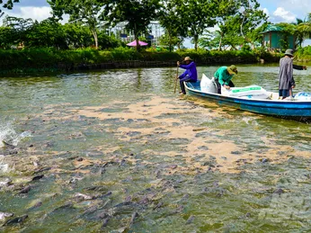 Tích hợp công nghệ số trong quản lý thông tin dịch bệnh thủy sản