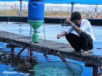 Nuôi tôm theo công nghệ sinh học semi-biofloc: Năng suất tăng cao