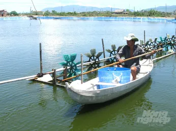 Phòng chống nắng nóng cho tôm nuôi