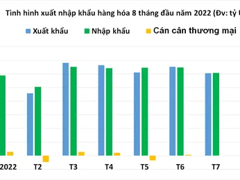 Việt Nam xuất siêu gần 4 tỷ USD trong 8 tháng, Mỹ là thị trường xuất khẩu lớn nhất