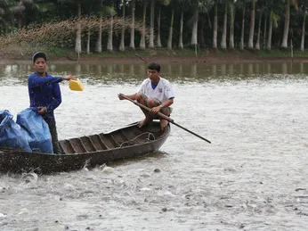 Doanh nghiệp méo mặt với chi phí đầu vào