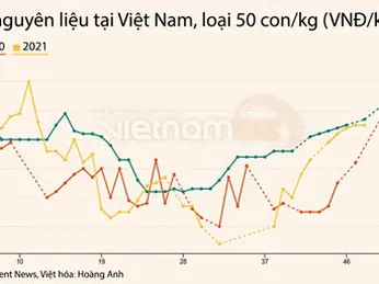 Giá tôm nguyên liệu giảm nhẹ vào cuối năm 2021