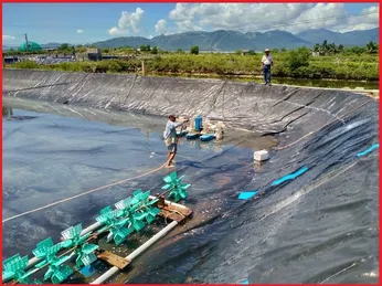 Phòng bệnh vi bào tử trùng trên tôm thẻ chân trắng