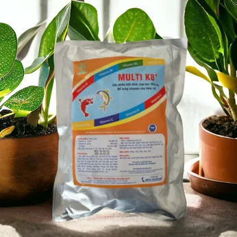 MULTI K8⁺ – Bao bọc thức ăn, bổ sung vitamin toàn diện, tăng hiệu quả sử dụng thuốc cho tôm cá