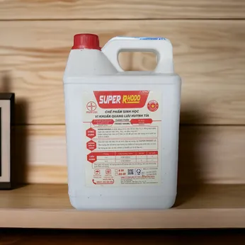 SUPER RHODO – Chế phẩm sinh học vi khuẩn quang dưỡng, xử lý H₂S – NH₃ – NO₂, làm sạch đáy ao nuôi