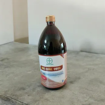 MK DINE 9999 - DIỆT KHUẨN AN TOÀN, HIỆU QUẢ