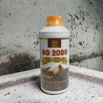 BG 2000 – Tỏi đen lên men: Men vi sinh đa chủng tăng đề kháng, bảo vệ gan ruột và ổn định môi trường ao nuôi