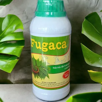 FUGACA – Thảo mộc đặc trị ký sinh trùng nội ngoại, an toàn cho tôm cá
