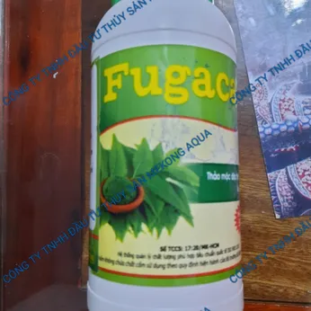 FUGACA