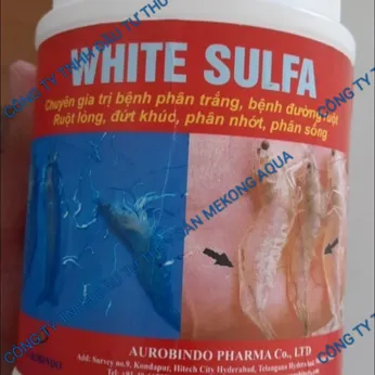 WHITE SUNFA - CHUYÊN GIA ĐẶC TRỊ PHÂN TRẮNG