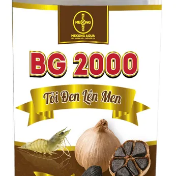 BG 2000 - Tỏi Đen Lên Men