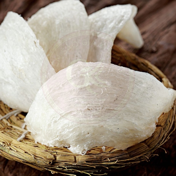 Trao sức khỏe vàng – Vững vàng ước mơ Trao sức khỏe vàng – Vững vàng ước mơ