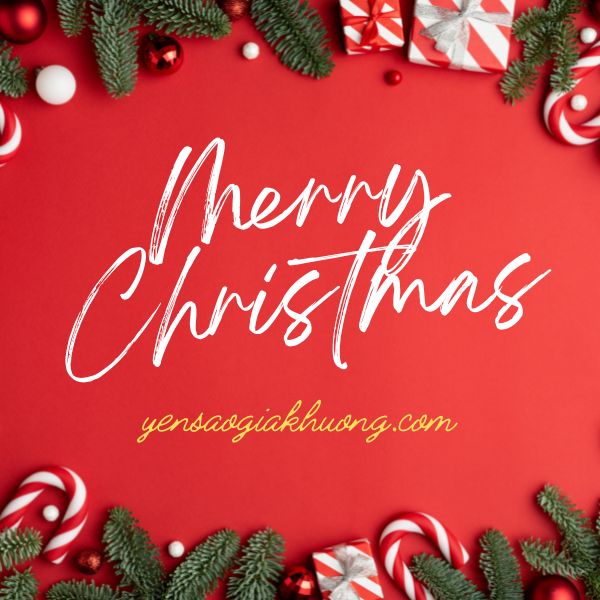 Yến sào ngày lễ Giáng Sinh Yến sào ngày lễ Giáng Sinh