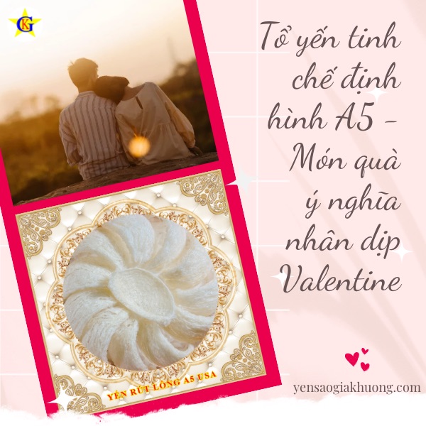 Tổ yến tinh chế định hình A5 - Món quà ý nghĩa nhân dịp Valentine Tổ yến tinh chế định hình A5 - Món quà ý nghĩa nhân dịp Valentine