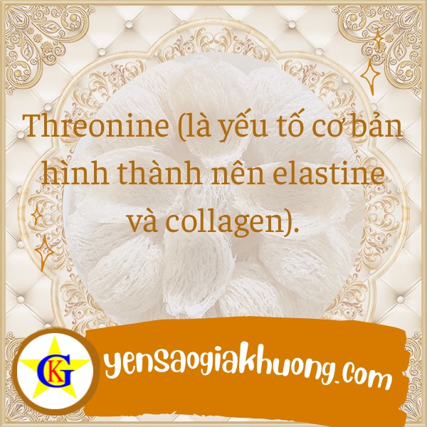 Yến sào tăng cường vẻ đẹp cho da vào mùa hè Yến sào tăng cường vẻ đẹp cho da vào mùa hè
