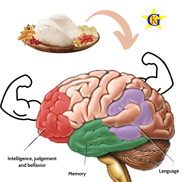 Yến sào hỗ trợ cho trẻ thông minh từ nhỏ Yến sào hỗ trợ cho trẻ thông minh từ nhỏ