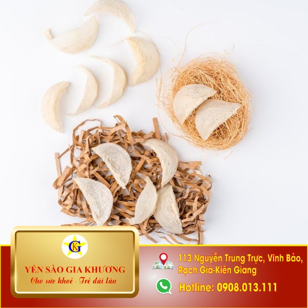 Cách phân biệt tổ yến già và tổ yến non Cách phân biệt tổ yến già và tổ yến non