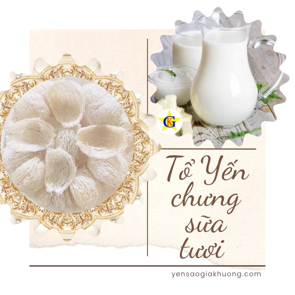 Tổ Yến chưng sữa tươi Tổ Yến chưng sữa tươi