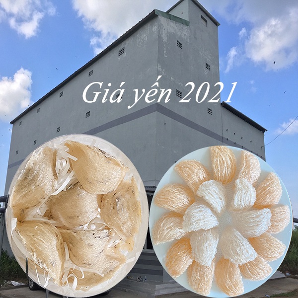 người ăn chay có dùng yến sào được hay không  người ăn chay có dùng yến sào được hay không