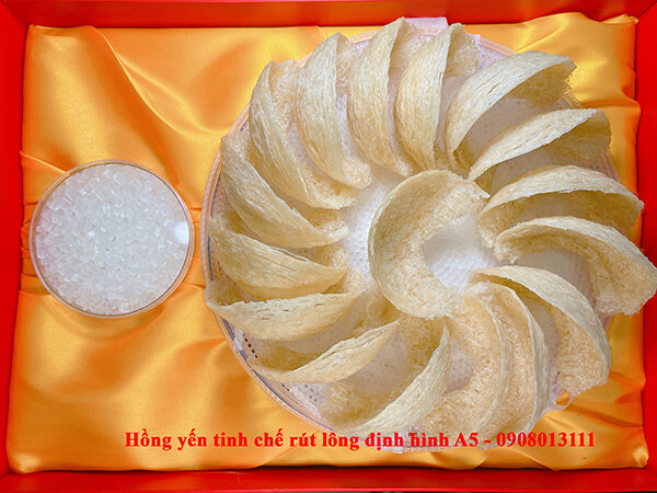 Yến rút lông định hình A5 món quà sang trọng ngày vía Thần Tài Yến rút lông định hình A5 món quà sang trọng ngày vía Thần Tài