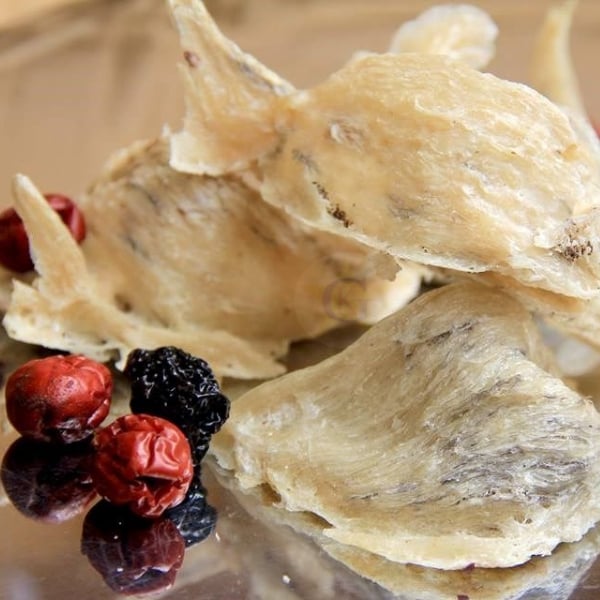 Nên ăn tổ yến to hay nhỏ???