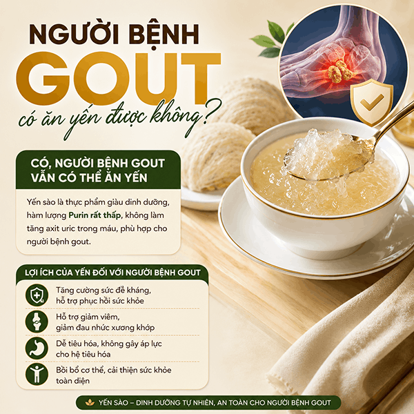 Người bệnh gout có ăn yến được không?? Người bệnh gout có ăn yến được không??