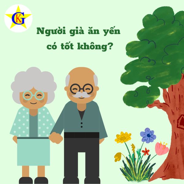 Người già ăn yến có tốt không? Người già ăn yến có tốt không?