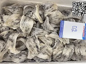 Yến thô tháng 5 hàng về tấp nập