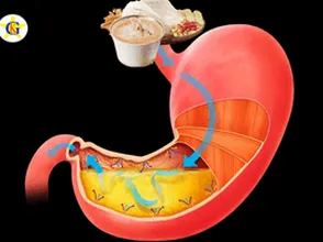 Yến sào giúp hệ tiêu hóa của trẻ khỏe mạnh