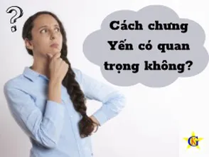 Cách chưng Yến có quan trọng không?
