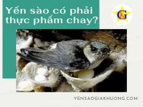 Yến sào có phải thực phẩm chay?