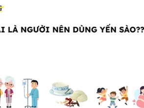 Ai là người nên dùng yến sào???