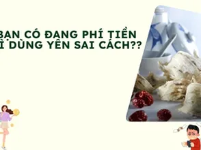 Bạn có đang phí tiền vì dùng yến sai cách???