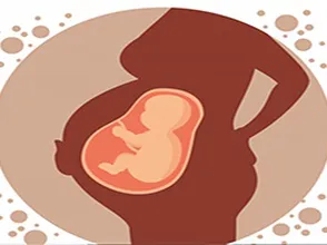 Bầu ba tháng đầu có nên ăn yến không