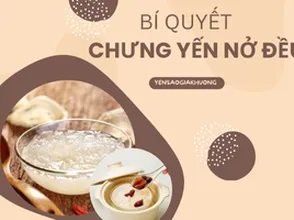 Bí quyết giúp chưng yến nở đều
