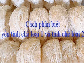 Cách phân biệt yến tinh chế loại 1 và yến tinh chế 2
