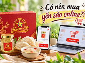 Có nên mua yến sào online???