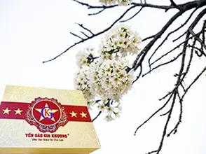 Công dụng của yến sào đối với người lớn tuổi