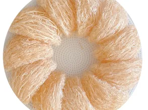 Tìm hiểu về yến sào