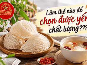 Làm thế nào để chọn được yến chất lượng?