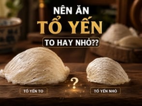 Nên ăn tổ yến to hay nhỏ???