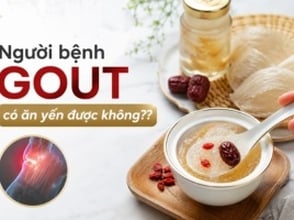 Người bệnh gout có ăn yến được không??